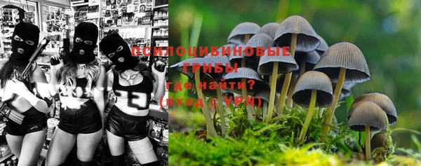 МДПВ Вязники