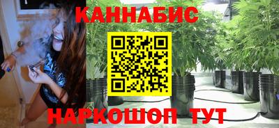 Альфа ПВП Заволжье