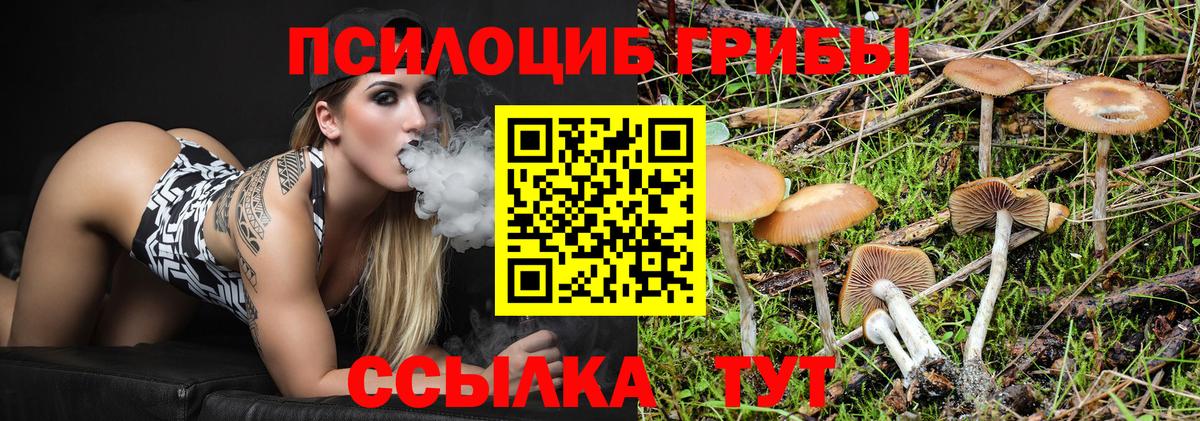 Галлюциногенные грибы Cubensis  Галлюциногенные грибы мухоморы  Наро-Фоминск  Вход с VPN 