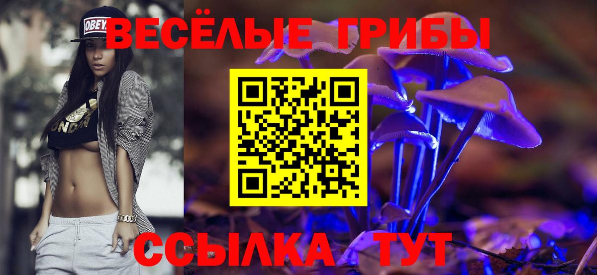 Псилоцибиновые грибы ЛСД Наро-Фоминск